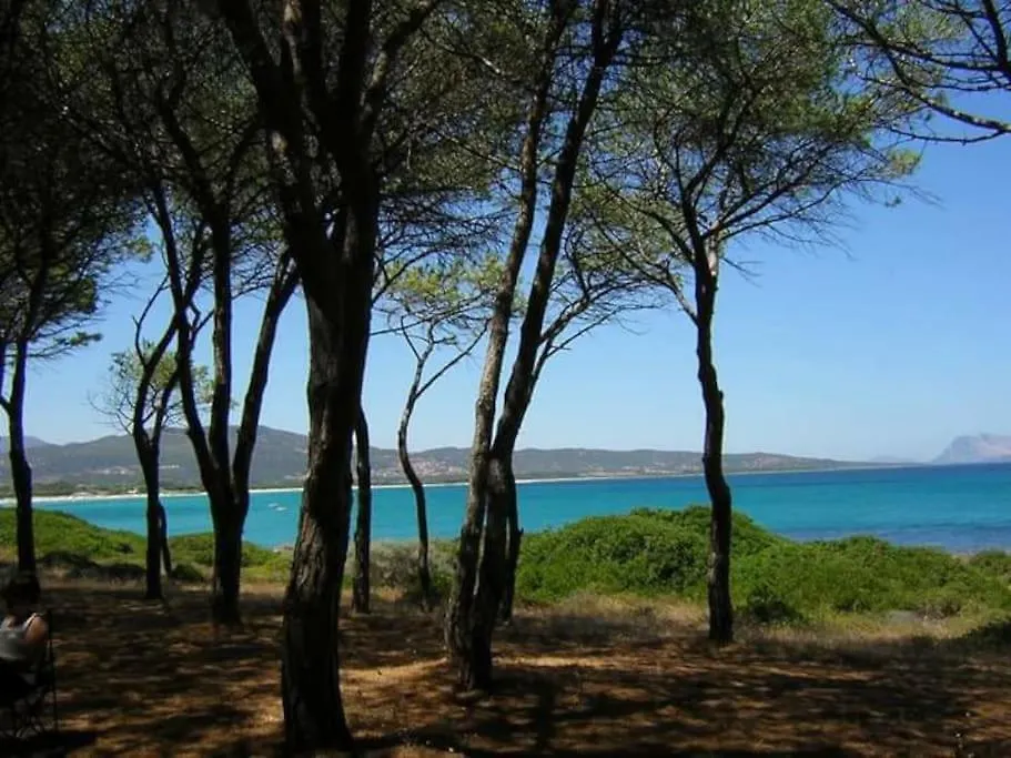 Villa Indipendente Al Mare Budoni Tanaunella 0*,  Italia